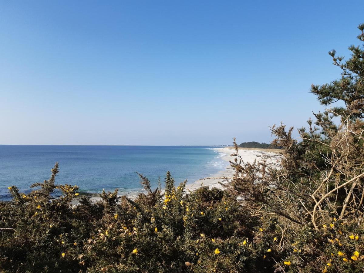 Agape, Elegant T2, 4 Etoiles, Plage Et Gr34 3Km, Centre Ville 750M فوسنان المظهر الخارجي الصورة